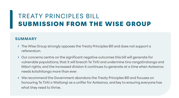 Read: Treaty Principles Bill submission from the Wise Group